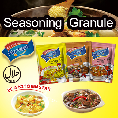 Seasoning Granule Factory